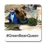 Green Bean Queen Magnet - white