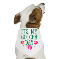 It's My Gotcha Day Pet Dog Bandana - white