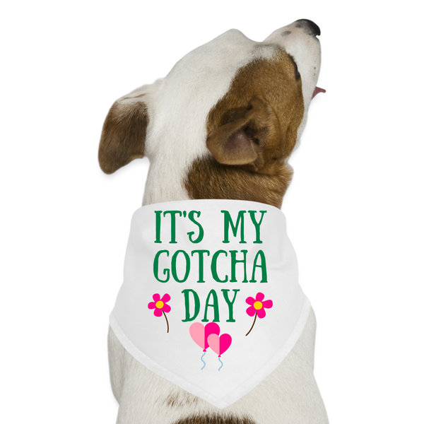 It's My Gotcha Day Pet Dog Bandana - white