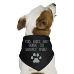 This Belly Isn't Going to Scratch Itself Pet Dog Bandana - black